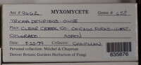 Image Associated With the Occurence